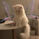 wntbloom avatar