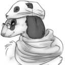 wobblynannygoat avatar