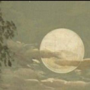 wobblypancakes avatar