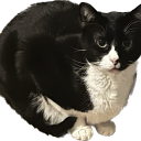 wocketinmypocket avatar