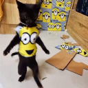 wokeupchrisbrezy avatar