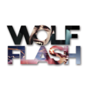 wolf-flash-blog avatar