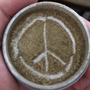 wolf-pack-the-bowl avatar