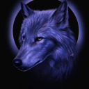 wolfeagle-88 avatar