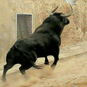 wolfgangsdick avatar