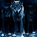 wolfhearthowls19 avatar