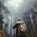 wolfiewamptue avatar