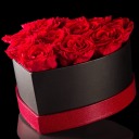 wolfloverhunter avatar