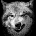 wolfmars avatar