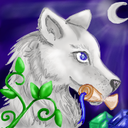 wolfofthenorthernlore avatar