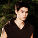 wolfpack-imagines avatar