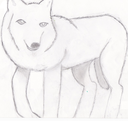 wolfpackoflight avatar