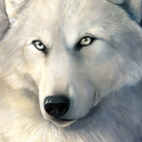 wolfpacksex-blog avatar