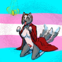 wolfpupgirlknot avatar