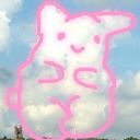 wolframbronte avatar