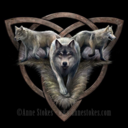 wolfs001 avatar