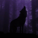 wolfsbanesposts avatar