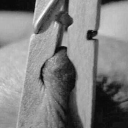 wolfsdesire-70-2 avatar