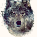 wolfsoulfulme avatar