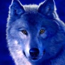 wolfsschwester-blog avatar