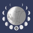 wolfstar-recs2019 avatar