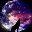 wolfstarlights avatar