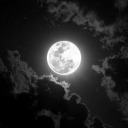 wolfstars-genderqueer-child avatar