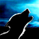 wolfstarwarehouse avatar