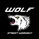 wolfstreetworkout avatar