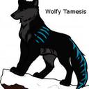 wolfy-tamesis avatar