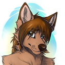 wolfy88lukas avatar