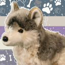 wolfypupper avatar