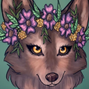 wolfysierra avatar