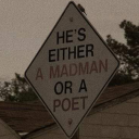 wolven-writer avatar