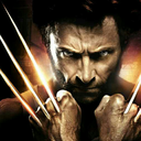 wolverin77 avatar