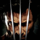 wolverine13579-blog avatar