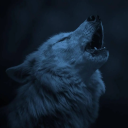 wolves-rayet avatar