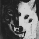 wolveslopinginthedark avatar