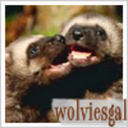 wolviesgal avatar