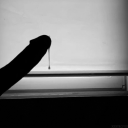 wolyblog-blog avatar