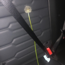 womanwithagun avatar