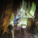 womencookhere avatar