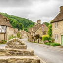 womendrinkviews avatar