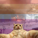 womp-womp-waa avatar