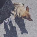 wonder-moments avatar