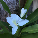 wonderandmoonlight avatar