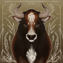 wonderbull avatar