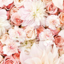 wonderfullymade-xo avatar