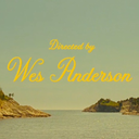 wonderfulwesanderson avatar