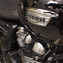 wondering-rider avatar